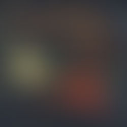 “LOST FOR WORDS” di RISE