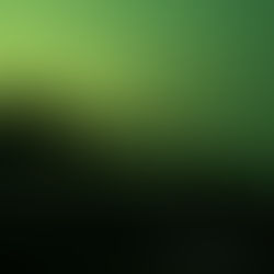 “UFO” di Rye Catchers