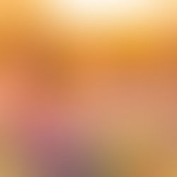 “LITTLE THINGS” di Richard Green