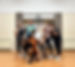 IMG_9675.jpeg