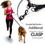Thumbnail: Bungee Leash and Adjustable Waistbelt