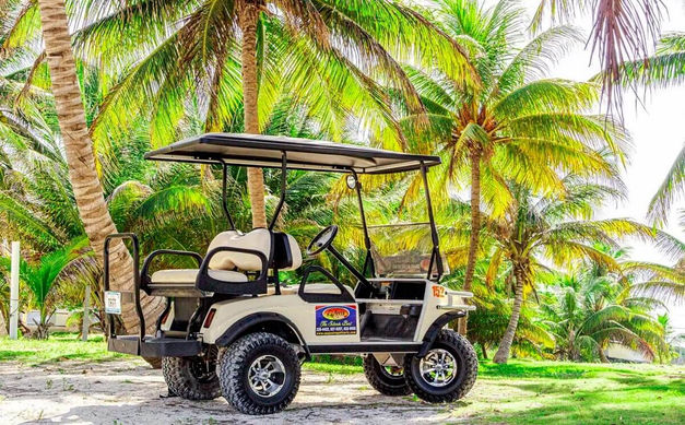 avis-golf-cart-slide-01.jpeg