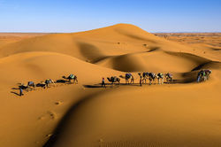 desert-2583202_960_720