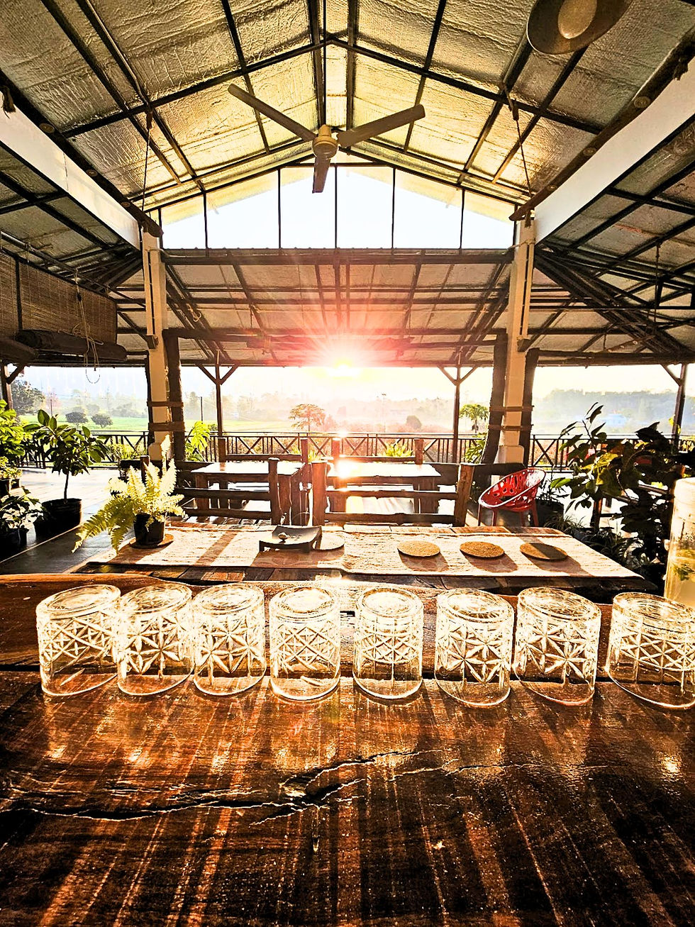 Forest Side Farm: Cafe with seamlessly aligned with the nature