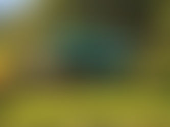 Forest Side Farm: Ideal place for healing and recovery