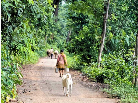 Keeping It in the Village: Why Community Based Eco Tourism Uttarakhand Matters