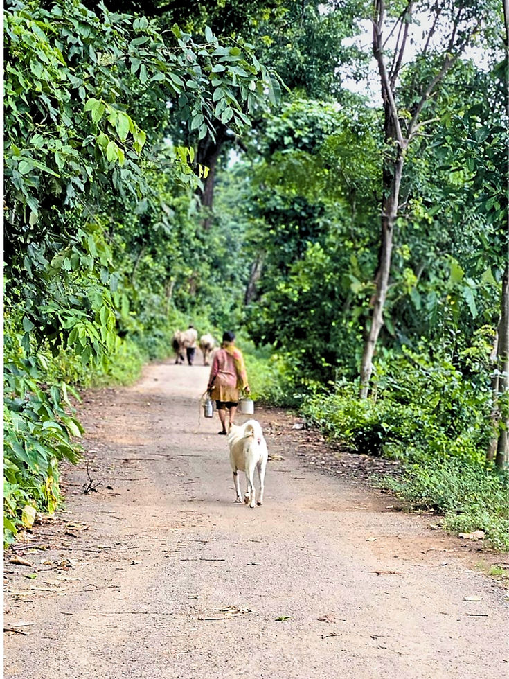 Forest-Side-Farm-Experiences-2