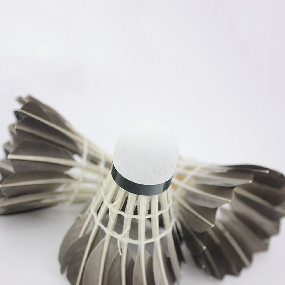 Miniaturbild: 3/6/12Pcs Badminton Shuttlecock Training Durable Black Goose Feather Professiona