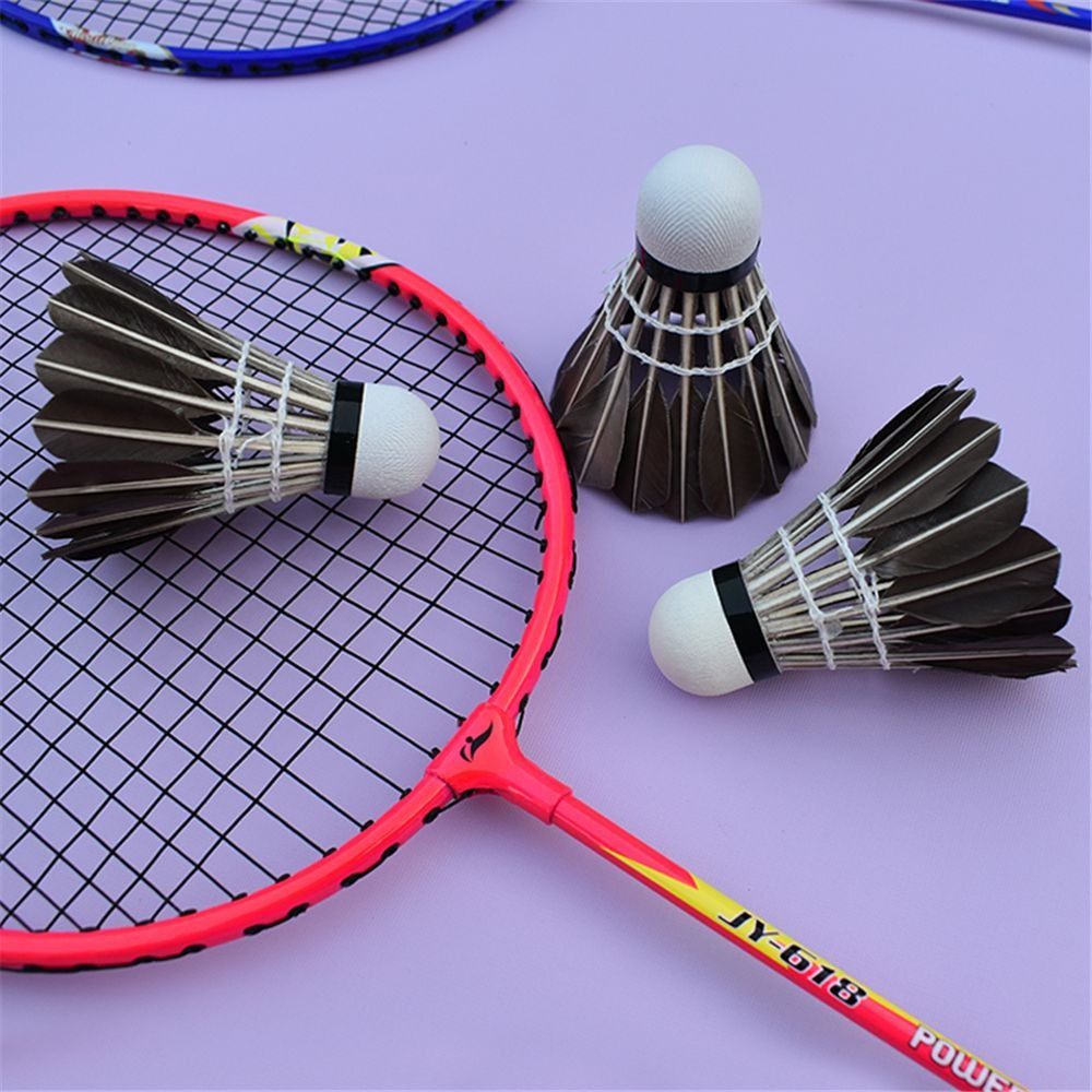 3/6/12Pcs Badminton Shuttlecock Training Durable Black Goose Feather Professiona