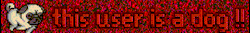tumblr_a2af1a6ba9f6f22293b2d2d55750049f_2fc9e6c1_250_gm_optimized.gif