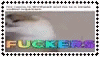 ezgif-1fe6f8b27ef253c5.gif