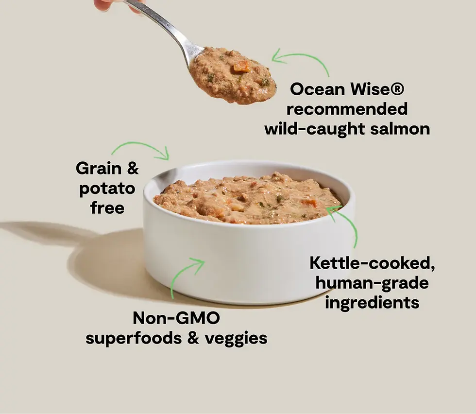 Thumbnail: Wild-Caught Salmon Stew 12.5oz