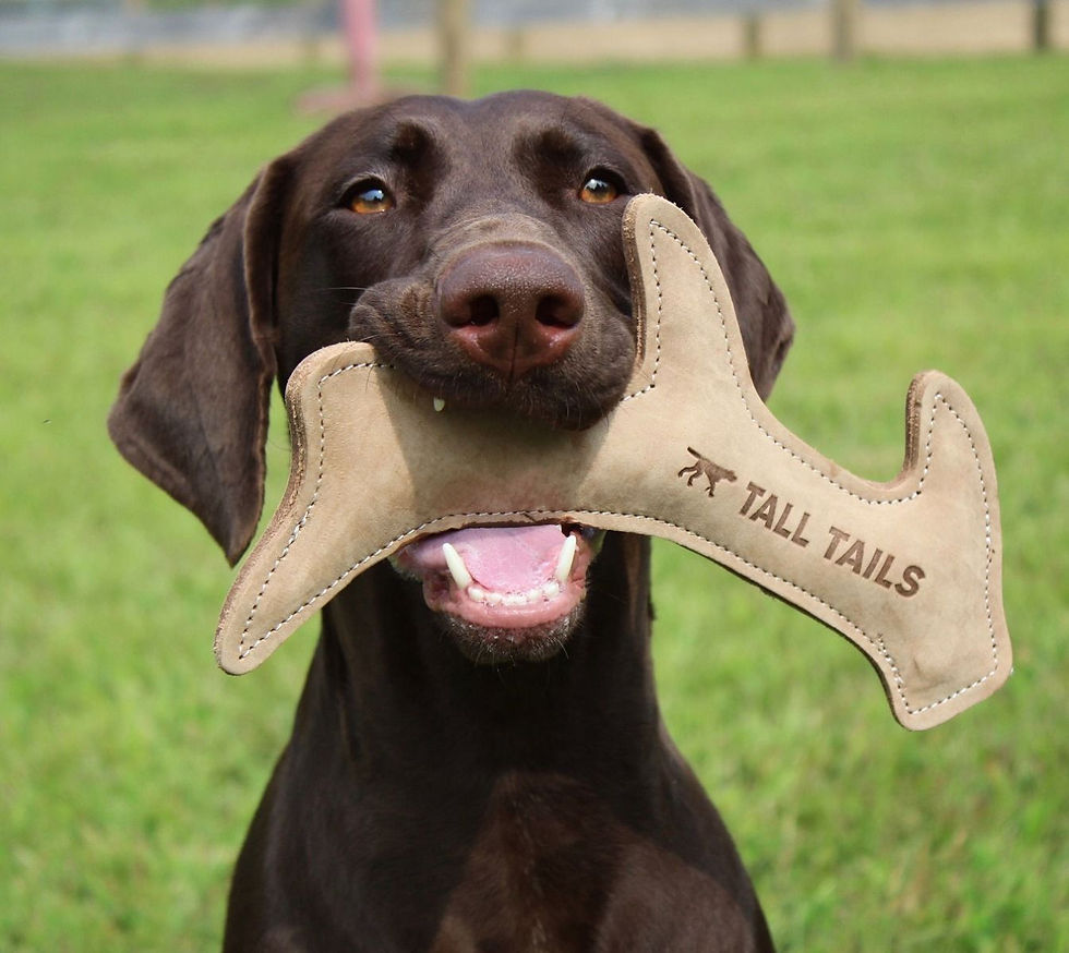Thumbnail: Natural Leather Antler Dog Toy