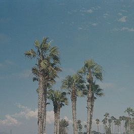 palms_edited.jpg