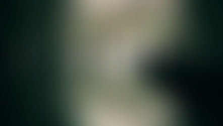 Japan Pavilion Expo 2025: Quiet Precision in Immersive Storytelling