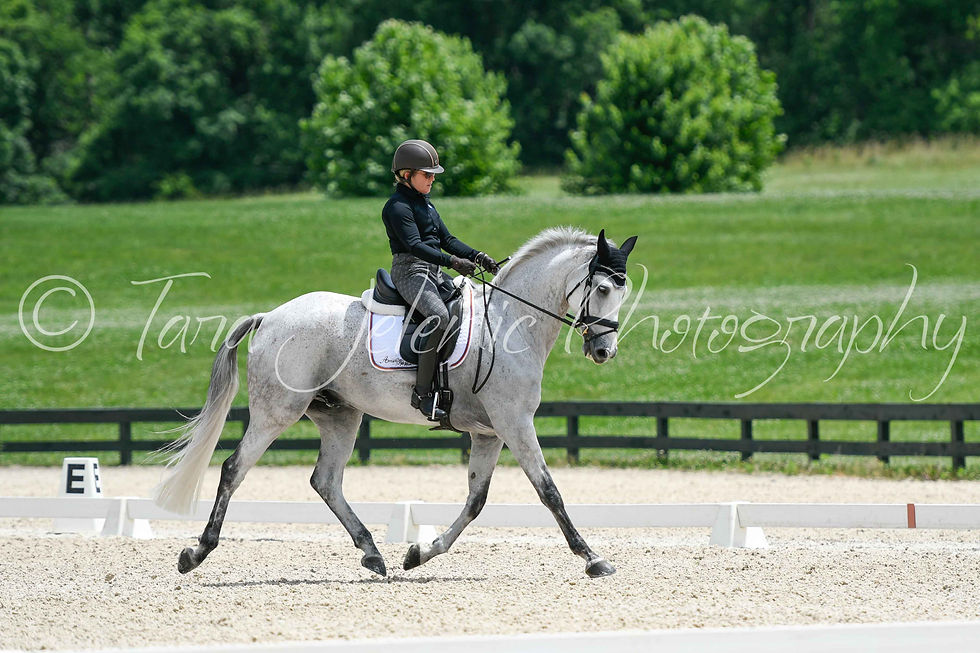 _62_Sharon White_12.17_Cover