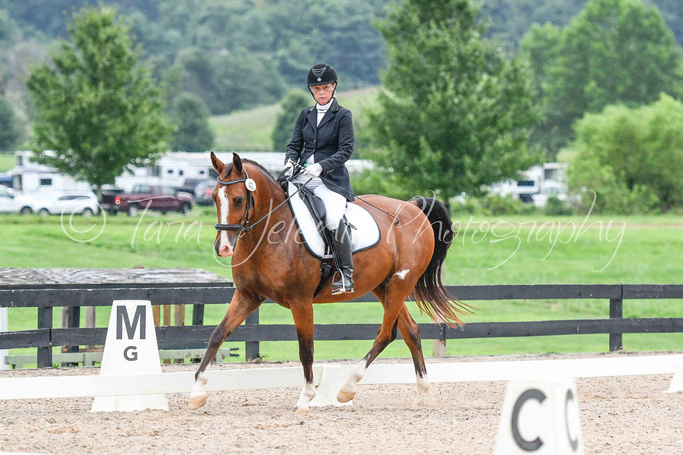 42_Lara Anne Muller_02.20PM_Cover