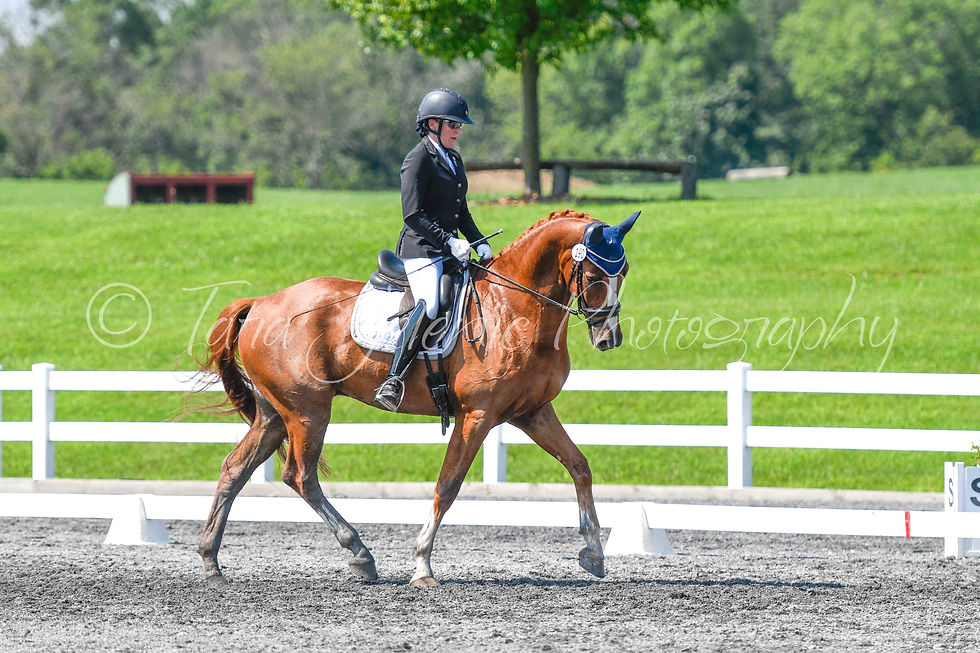 190_Julie Brownson_03.19PM_Cover