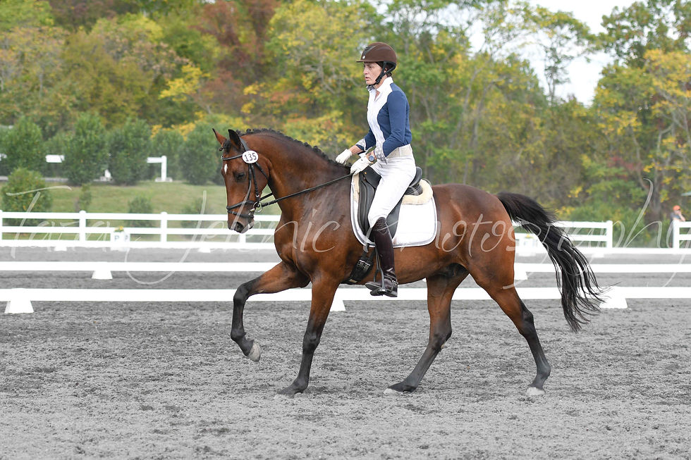 135_Sherri Holdridge_03.06PM_Saturday_1_Cover