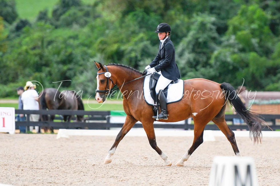 42_Laura Anne Muller_12.02PM_Cover