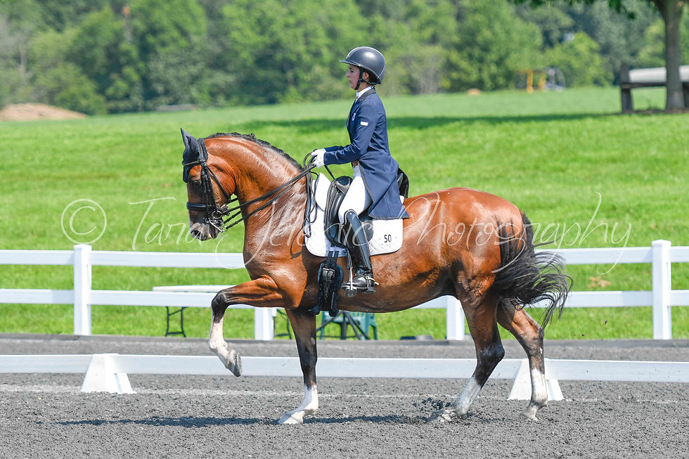 50_Chase Shipka_10.49AM_Cover