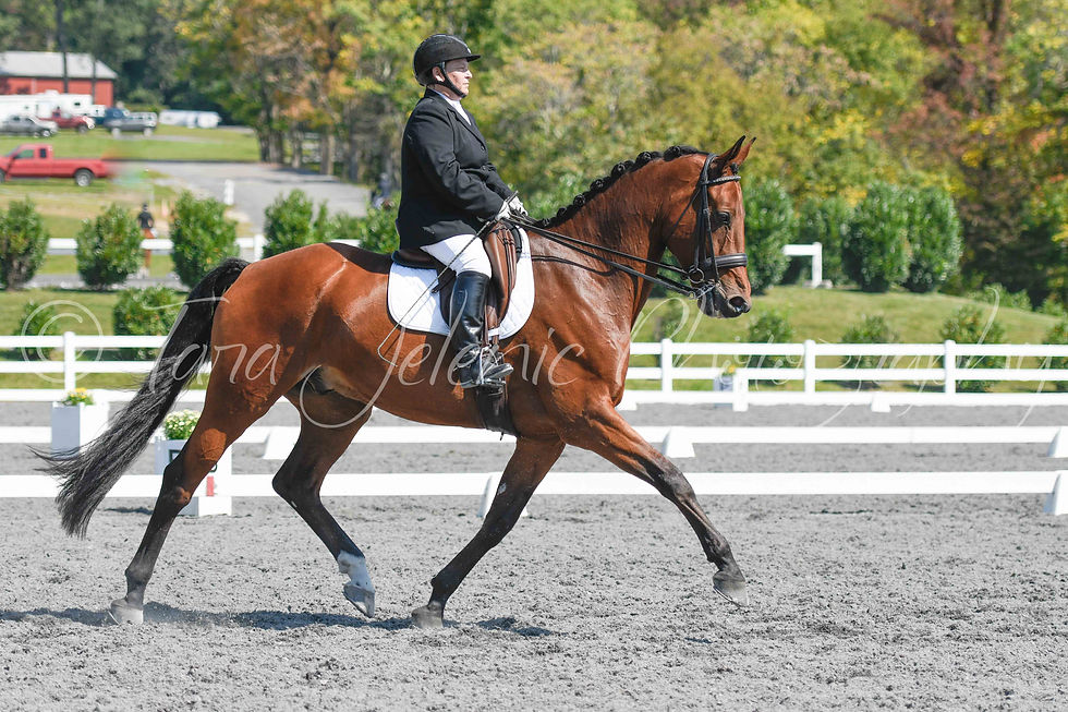 548_Babsi Neidhardt-Clark_11.47AM