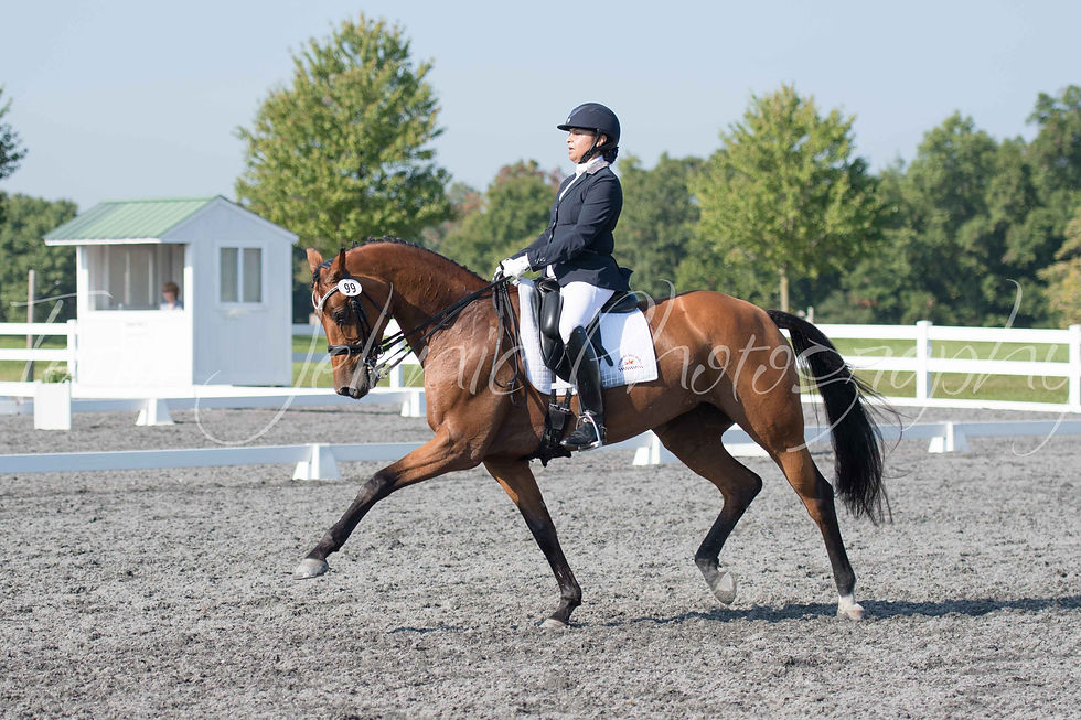 99_Hewan Tomlinson_10.20AM_Saturday_2_Cover