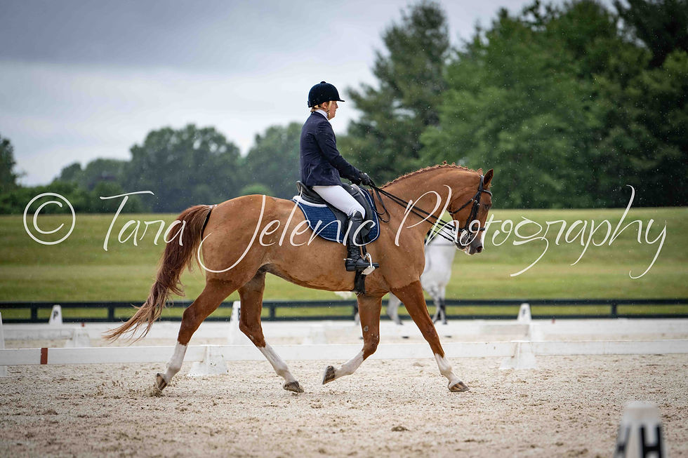121_Katherine Buck_09.45AM_R2_C