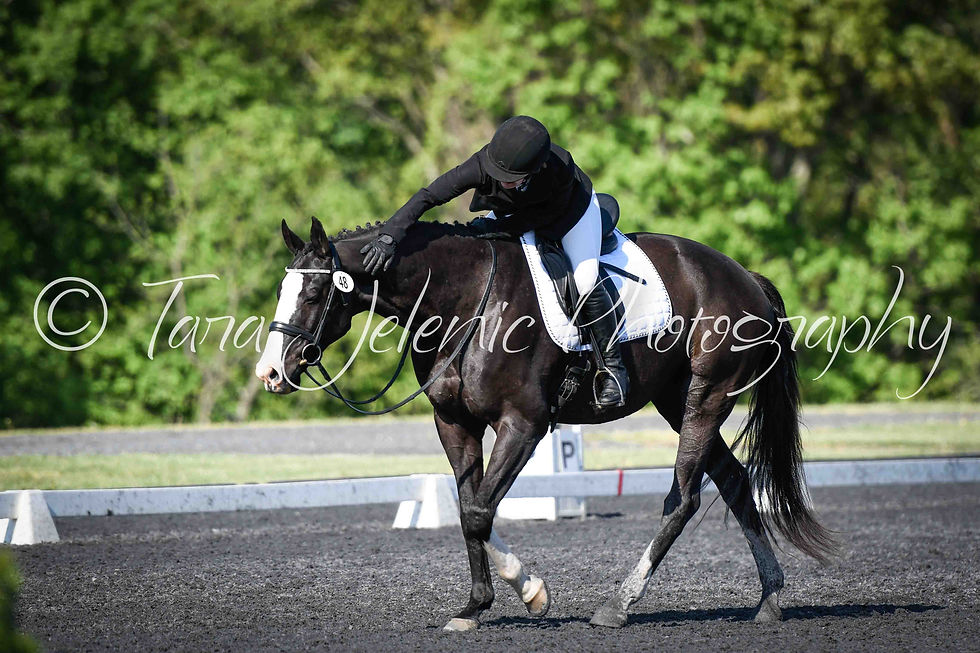 48_Laurel Ludstrom_09.34AM_R4_C