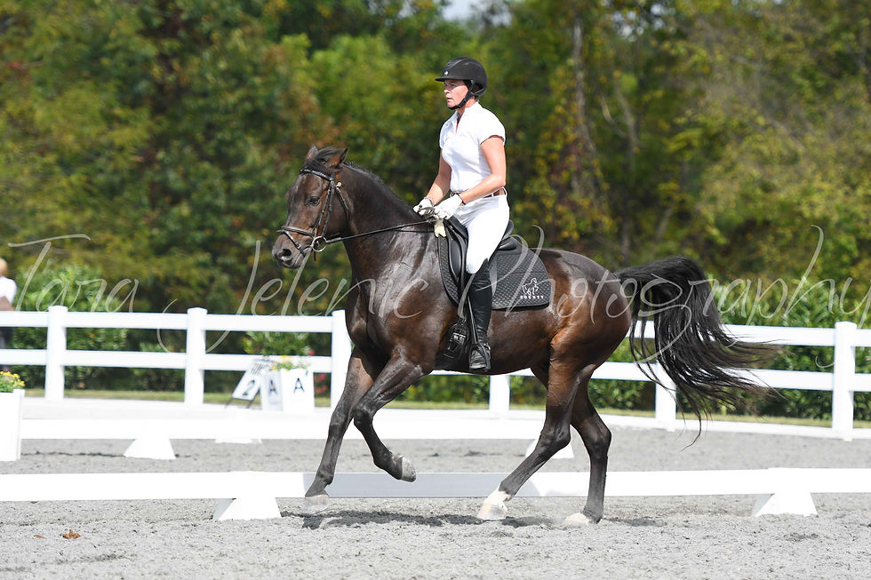 88_Deloise Noble-Strong_02.50PM_Saturday_1_Cover