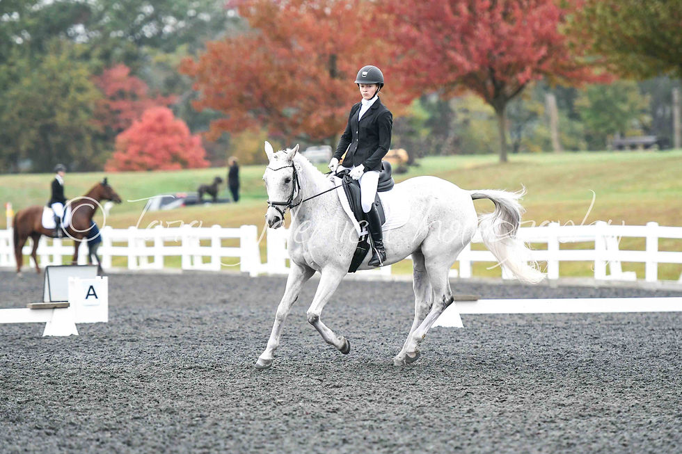 304_Katie McFarland_09.36AM