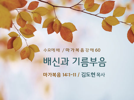 마가복음 강해(60) - 배신과 기름부음