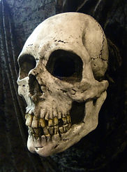 Skull mask