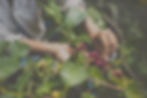 AdobeStock_293732629_edited_edited_edited_edited.jpg