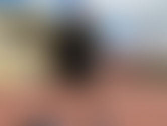 Welcome to the Hutch Blog