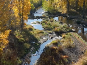 Big Wood River Breakdown: Side Channels