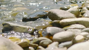Big Wood River Breakdown: High Water