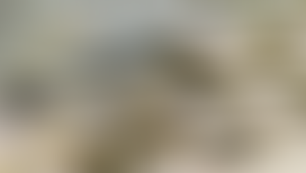 Big Wood River Breakdown: High Water