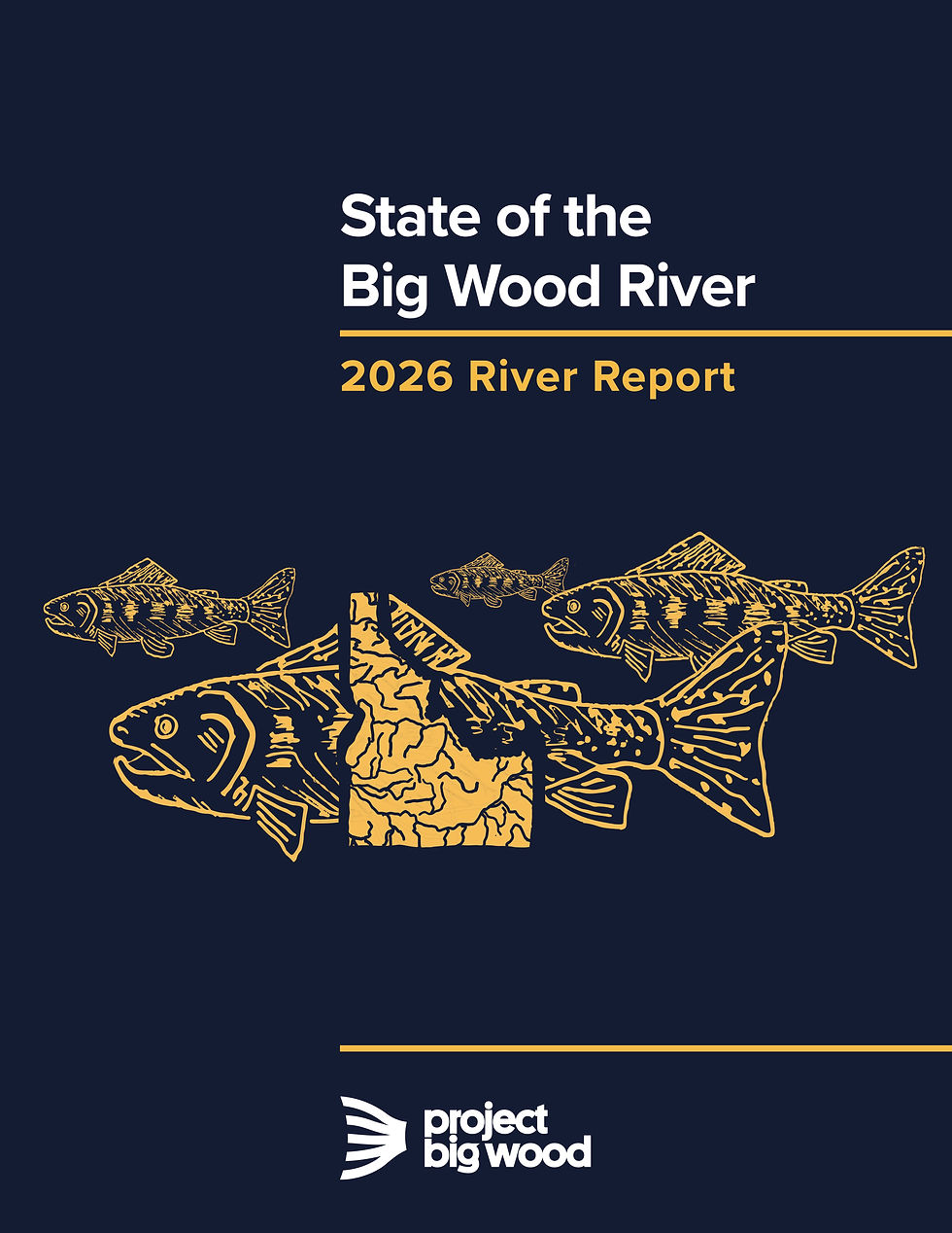 State of the Big Wood 2026 Report