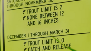 Big Wood River Breakdown: Regulations