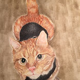 Oliver