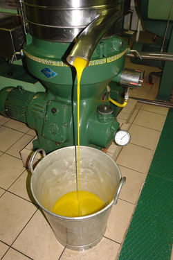 La Torretta 42_Ölmühle