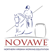Northern-Virginia-WE-AO-Logo-2.webp