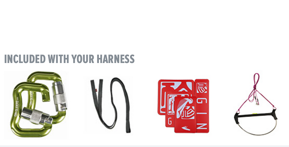 Thumbnail: SPECIAL GIN Airlite 4