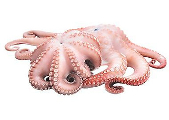 WhatsApp Image 2025-09-21 at 22.44.18_c58e7f7e.jpg