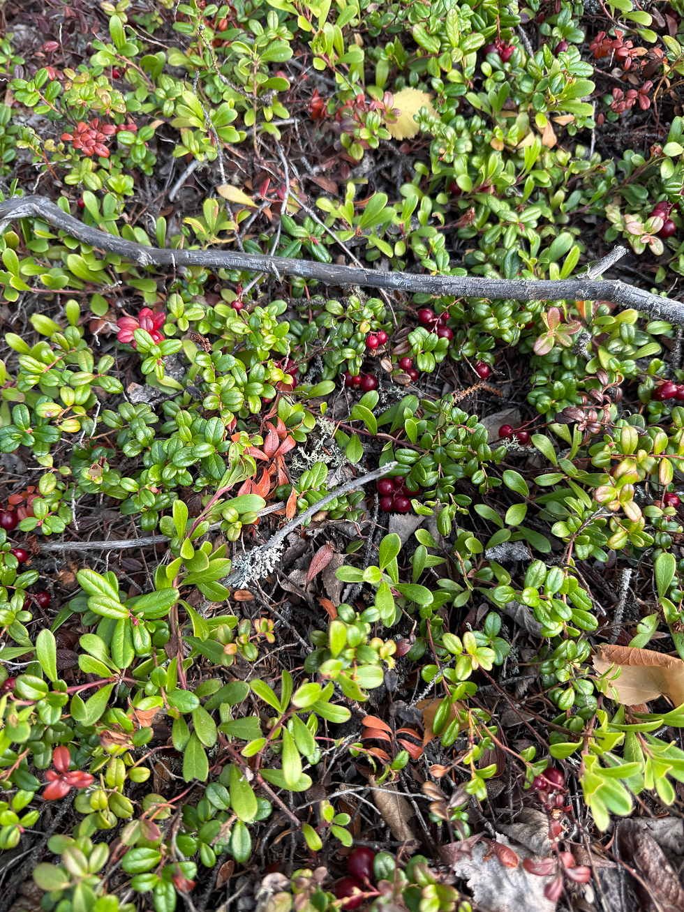 Frequently Asked Questions About EMDR