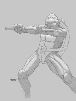 Turtle Ninja