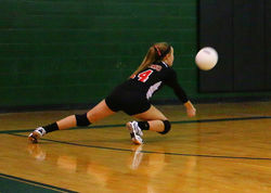 IMG_8049alt