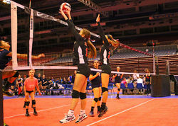 IMG_9658alt