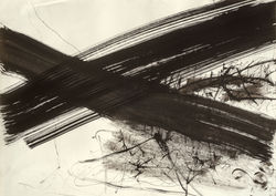 2009 Tusche/Papier 50x70cm